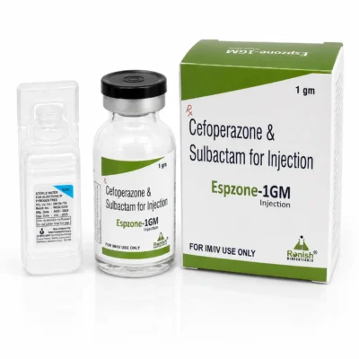 ESPZONE-1 GM