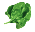 ROLECTROL